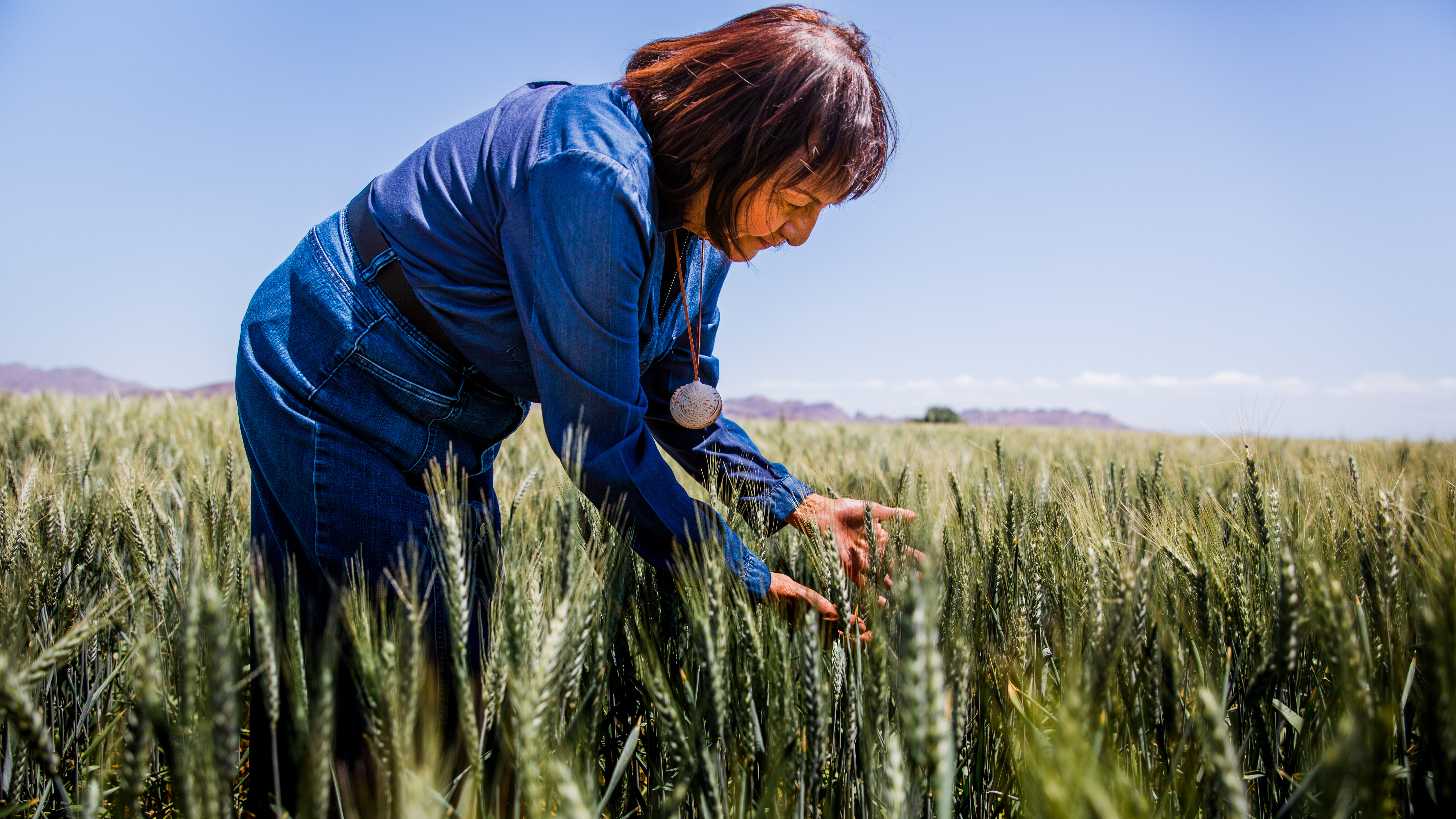 Check for Women’s Work: The Untold Story of America’s Female Farmers airing on a public television station near you!